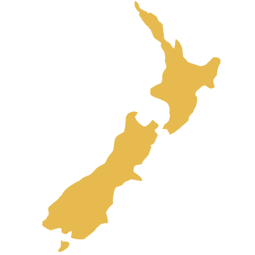 New Zealand Icon